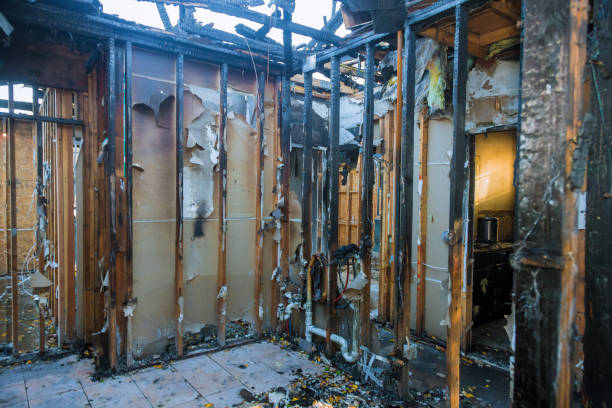 Professional Odor Removal technician working in Richmond, KY