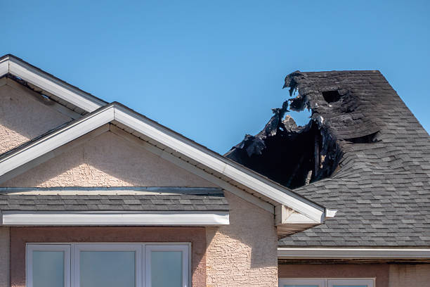 Top rated local Odor Removal specialists in Richmond, KY